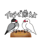 いきものたち鳥編（個別スタンプ：11）