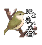 いきものたち鳥編（個別スタンプ：19）