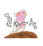 いきものたち鳥編（個別スタンプ：27）