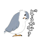 いきものたち鳥編（個別スタンプ：35）