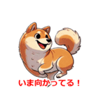 職業 柴犬（個別スタンプ：24）