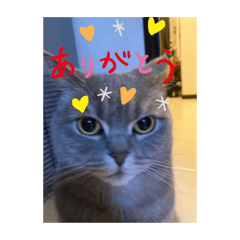 [LINEスタンプ] sakananu616