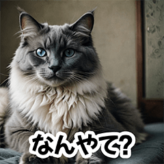 [LINEスタンプ] お友達とのやりとりを猫たちとともに。