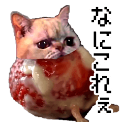 [LINEスタンプ] 猫ミーム【いちごアイス猫】