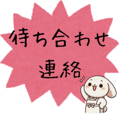 [LINEスタンプ] ✅待ち合わせ連絡✅毎日使うフレーズ✅うさぎ