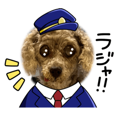 [LINEスタンプ] めいさんかわいいだよ