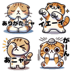 [LINEスタンプ] スコティッシュのにゃんだふるデイズ