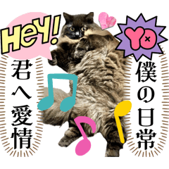 [LINEスタンプ] 黒猫 ルナ院長156にゃんめ