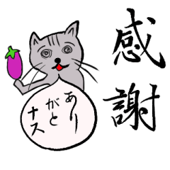 [LINEスタンプ] 【美文字】と【雑ネコ】