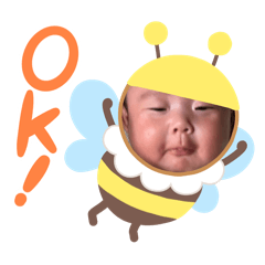 [LINEスタンプ] 菊ひなぴのスタンプ①