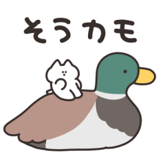 [LINEスタンプ] だじゃれを話すねこ