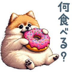 [LINEスタンプ] 食べるポメラニアン【ごはん・かわいい】