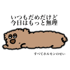 [LINEスタンプ] 使いやすい トイプードル スタンプ