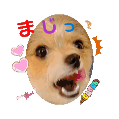 [LINEスタンプ] ぼくはチャッピー(2)