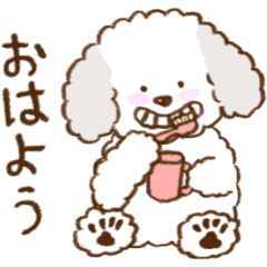 [LINEスタンプ] トイプードル | アニメーションスタンプ