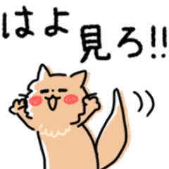 [LINEスタンプ] せっかち関西弁❤️ちょうもうねこ❤️❤️