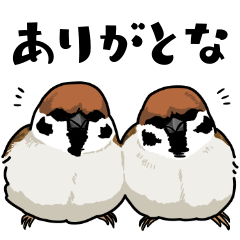 [LINEスタンプ] マイペースな小鳥7(使いやすい)