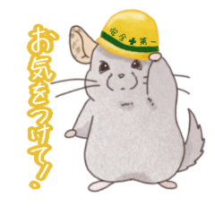 [LINEスタンプ] 日常をチンチラさんで伝える