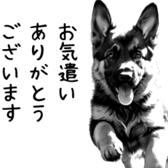 [LINEスタンプ] 白黒シェパード日常でよく使う敬語スタンプ