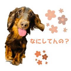 [LINEスタンプ] マイルだお