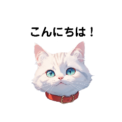 [LINEスタンプ] 可愛い白ネコ☆毎日使いやすいスタンプの画像（メイン）