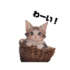 [LINEスタンプ] 可愛い猫☆日常で使えるスタンプの画像（メイン）