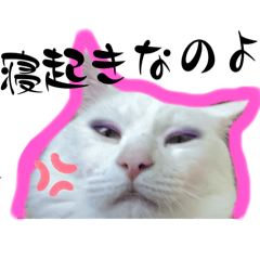 [LINEスタンプ] ねこちゅんの日常