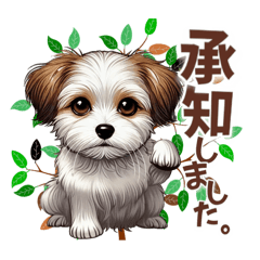 [LINEスタンプ] チワワ×シーズ ミックス スタンプ！！愛犬の画像（メイン）