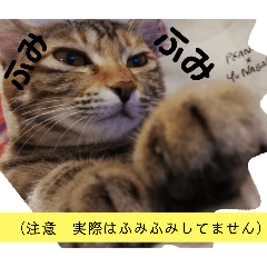 [LINEスタンプ] ナナPのミルクティータイム理想ナナは甘い