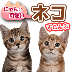 [LINEスタンプ] 【重ねて】にゃんと可愛い日常【使う】