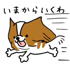 [LINEスタンプ] パピヨンのスタンプだよ