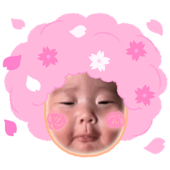 [LINEスタンプ] 菊ひなぴのスタンプ②