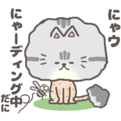 [LINEスタンプ] サマーカットにゃんこ シルバータビー 静岡