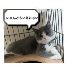 [LINEスタンプ] ロッキー山脈3