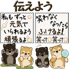 [LINEスタンプ] 【Big】柴犬『気持ちを伝えよう』