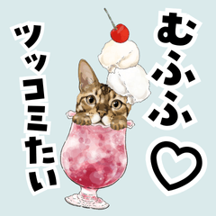 [LINEスタンプ] ソーダに入ったりアイスをのせた猫と犬