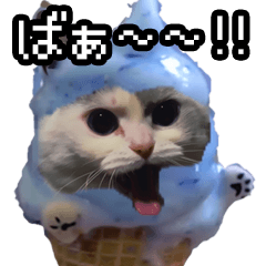 [LINEスタンプ] 猫ミーム【ソーダアイス猫】