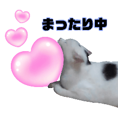 [LINEスタンプ] はなちん♡写真スタンプ！！②