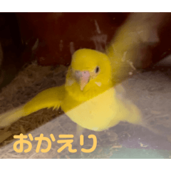 [LINEスタンプ] ぼく、ばなな！