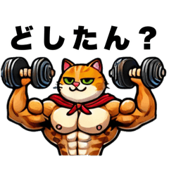 [LINEスタンプ] 筋肉ねこシリーズ③
