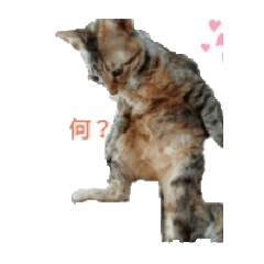 [LINEスタンプ] 麦茶ん。