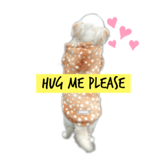 [LINEスタンプ] 我が家のたからもの♡