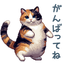 [LINEスタンプ] 毎日使える猫【三毛猫】