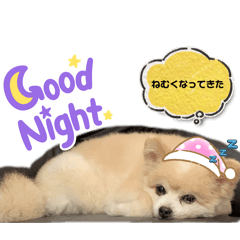 [LINEスタンプ] ウニとホタテ①