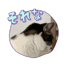 [LINEスタンプ] 動く！シータスタンプ