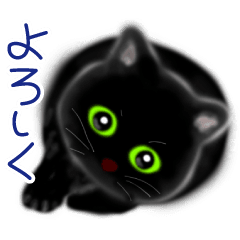 [LINEスタンプ] 【動く】大きな黒猫ちゃん