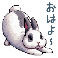 [LINEスタンプ] 毎日使えるうさぎ【かわいい・挨拶】