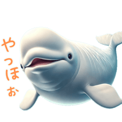 [LINEスタンプ] シロイルカのベルーガたん