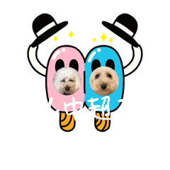 [LINEスタンプ] 変態アル中カップルシリーズ4