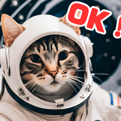 [LINEスタンプ] 宇宙飛行士のねこ